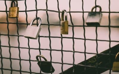 Certyfikat SSL i HTTPS – dlaczego są niezbędne