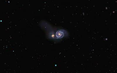 Elementor + ACF – jak zbudować dynamiczną stronę z polami niestandardowymi